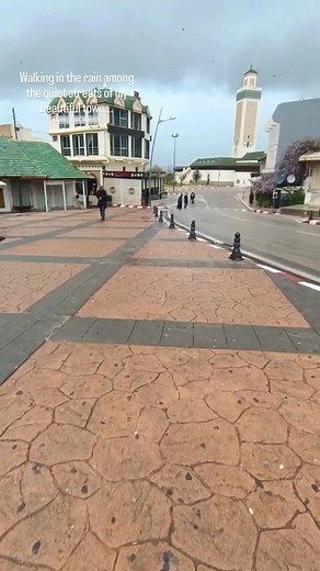 #azrou #azrou_city #azrou_ifran🇲🇦❄😍😍😍 #morocco🇲🇦 #morocco #morocco🇲🇦المغاربة #maroc #azrou_maroc #CapCut #onthisday #fyp #foryoupage #foryou #fouryourpage #اكسبلورexplore #ازرو_افران_مريرت_خنيفرة_أجلموس_الحاجب❤️ #المغرب #ازرو