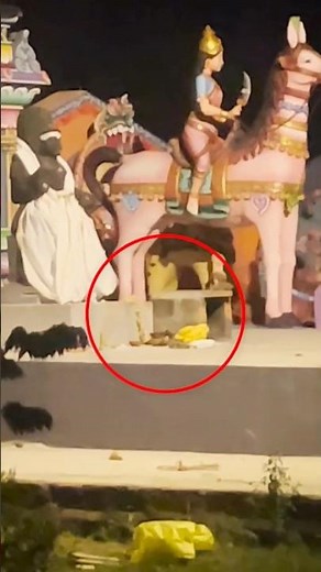 ⚠️காவல் தெய்வத்தை நேரில் கண்டு காட்சி பதர வைத்த நிமிடங்கள் 😧(ஜடாமுனி) 🙏@jeevajack #jadamuni #ayyanar