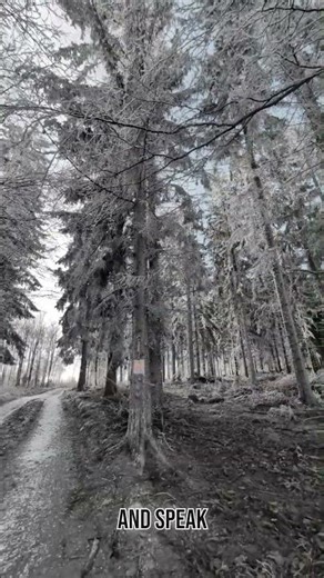 The Upgrade Your Mind Needs Final 5 Transformations