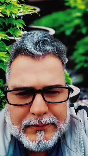 Os vídeos de Benedito aparecido (@benelvis) com som original - só musicao