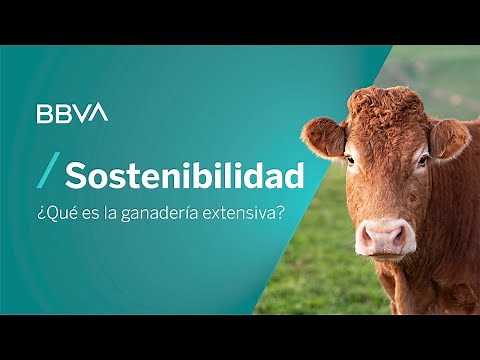 ¿Qué es la ganadería extensiva? | Píldoras de sostenibilidad