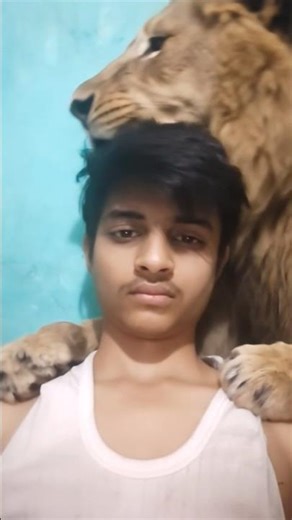 ❤‍🔥🦁