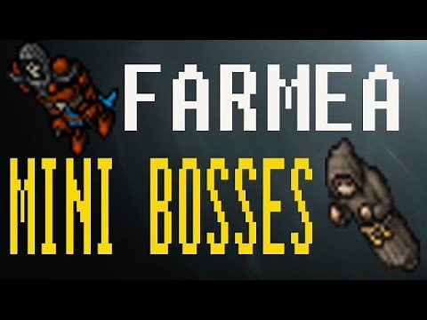 Tibia Falcon Mini Boss / GUIA PALADIN 300+