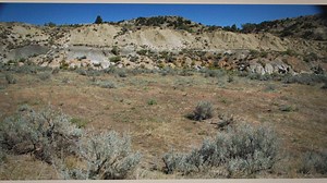 How to Prevent Land Subsidence: A Comprehensive Guide