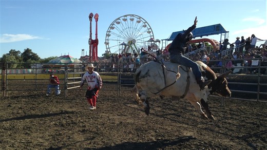 Solano County Fair 2024 | Everything you need to know