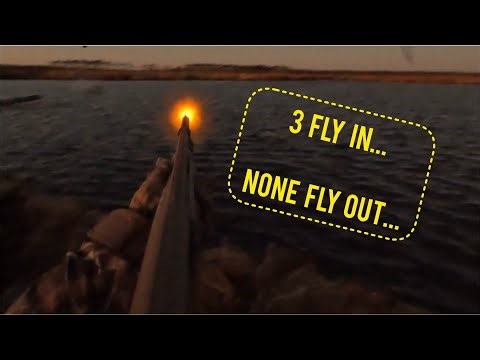 3 out of 3 Bluebills - 1/11/25 NC Duck Hunt (GoPro and ShotKam View)