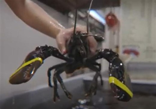 Taste The Catch Of The Day At These Top Seafood Spots In New Hampshire