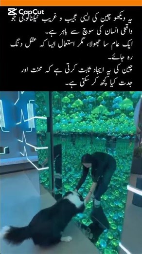 China’s Mind-Blowing Bag Technology 😲 #ChinaTech #AmazingInvention #ViralShorts