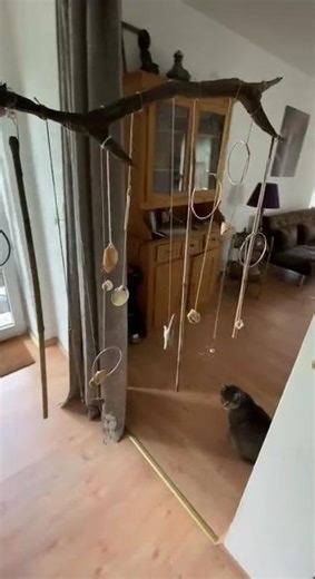 Nature-Inspired DIY Mobile: Driftwood, Shells, & Brass Art! ✨