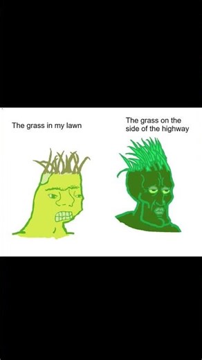 Why is Highway Grass Built Different? 🌿😤 #Shorts #Relatable #memes