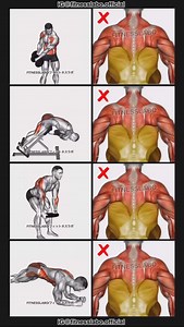 485K views · 14K reactions | ✅ Exercises to remove lower back fat ① Spell caster ② Back extension ③ Weight plate row ④ Hip roll plank 3 sets 12-15 reps #fitness #gym #exercise #workout #workoutroutine #exercisetips #fitnesstips #bodybuilding #backworkout #absworkout | Fitnesslabo | Facebook