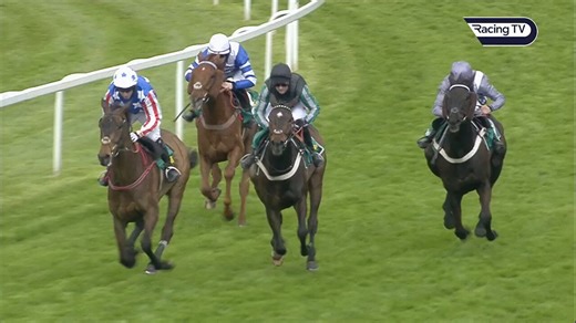 🏆The great Altior has a half-brother named Casual Water, who makes his debut for Willie Mullins tomorrow at LimerickHe cost €150,000 as a yearling, and he is clearly in capable hands!