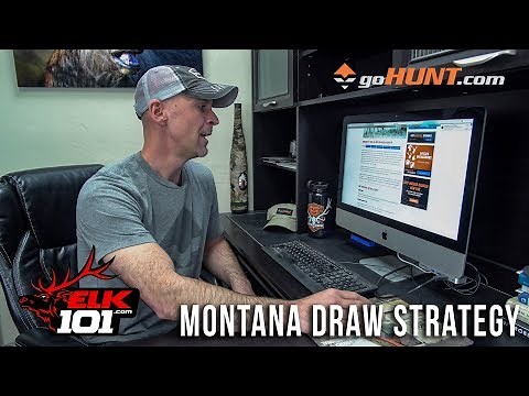 Why Is Montana a Great Elk Hunting Destination?