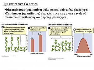 BIOL3010-Quantitative Genetics