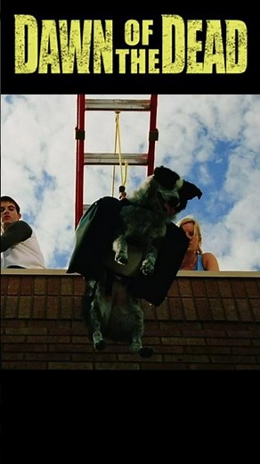 They Sent The Dog Out to The Zombies!? | Dawn of The Dead (2004)