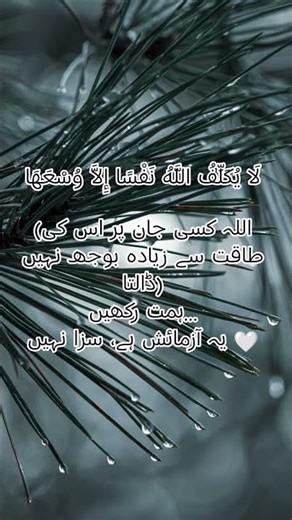 Stay Strong, It’s Just a Test | یہ آزمائش ہے 🤍