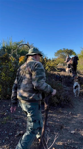 11K views · 152 reactions | Success on our Bushpig hunt ~ What a day! What an experience! #bushpighuntng #bushpigwithhounds #theeastcapeexperience | John X Safaris | Facebook