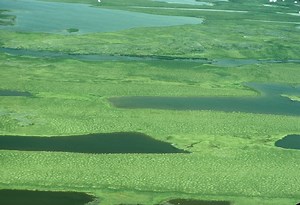 Till plain - Alchetron, The Free Social Encyclopedia