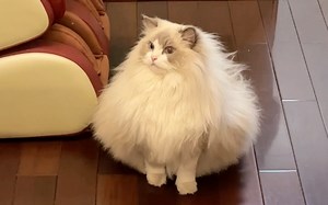 小姨放假咯～福元工作室开个年会