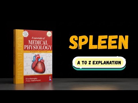 CHAPTER-23 - Spleen | Anatomy, Functions & Clinical Importance | Physiology