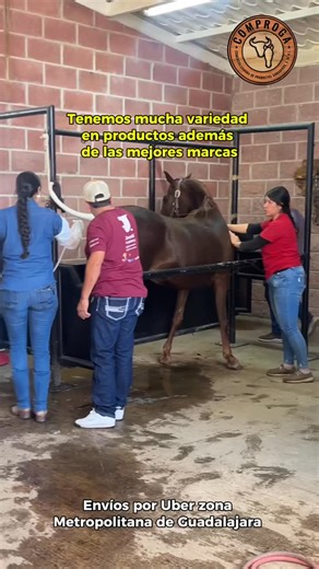 Somos distribuidores especializados en reproducción equina en Jalisco.  Envíos por Uber dentro de la Zona Metropolitana de Guadalajara y a toda la República Mexicana   Escríbenos por WhatsApp al 33 1518 4901 para asesoría y pedidos. Porque tu trabajo con los caballos merece productos confiables y entrega rápida.  #reproducciónequina #veterinariaequina #caballosdealtagenética #productosequinos #equinosmexico | Comproga | Facebook