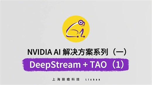 NVIDIA AI 解决方案系列（一）：DeepStream+TAO(1)