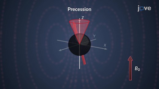 Atomic Nuclei: Larmor Precession Frequency in Analytical Chemistry | JoVE Core