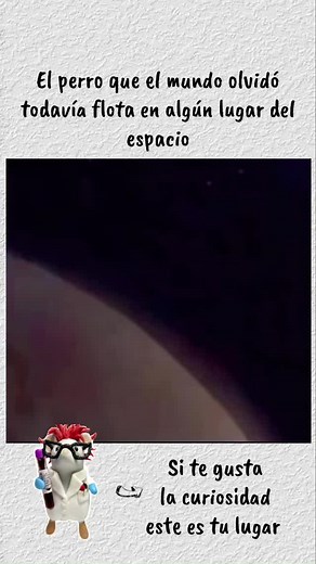 Laika: La Verdad del Perro Espacial 💔🛰️