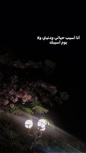 ‏#fyp#amrdiab#janjounsedits #amrdiablovers