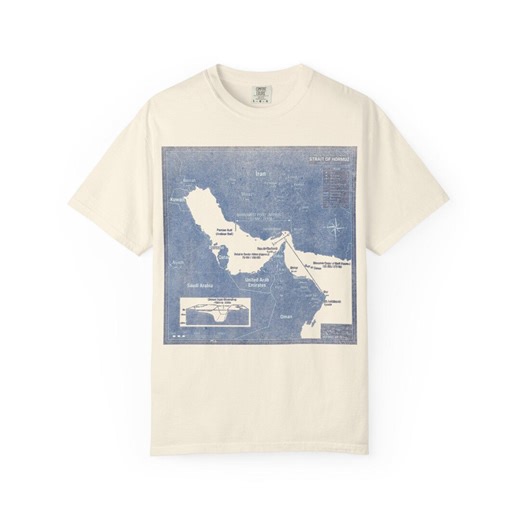 Strait of Hormuz Map Shirt Geopolitics Tee Middle East Map T Shirt Current Affairs Political Humor Geography Gift Educational Shirt - Etsy