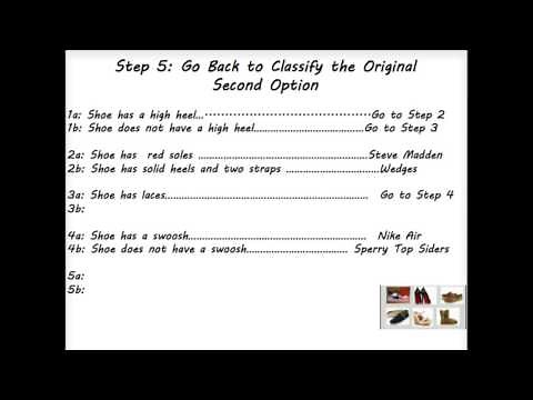 How to Make a Dichotomous Key