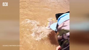 Best anglers in the business go looking for monster barramundi in Rockhampton CBD
