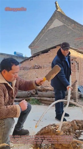 The Art of Simple Tools: Crafting a Perfect Forked Branch with Just an Axe 🌾
