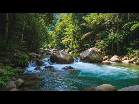 Serene River Stream Sounds – Natural White Noise for Sleep