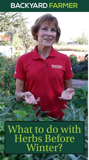 9.5K views · 157 reactions | Fall is winding its way into winter, and...