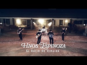 Hermanos Espinoza - El Gallo De Sinaloa (Video Oficial)