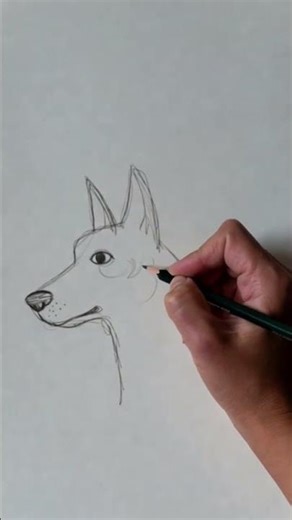 Cute Dog Sketch Drawing 🐕✨ | Easy Pencil Art for Beginners | #Shorts