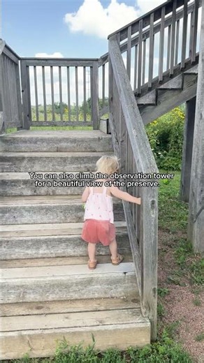 Marty's Playspace At Mequon Nature Preserve