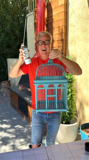 Taking Halloween decor to the next level! ☠️ I recycled a thrift store birdcage into a colorful DIY indoor or outdoor decoration. | The Gooch
