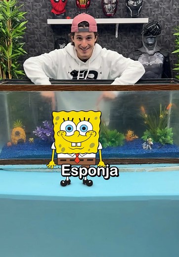 Construye Tu Propio Acuario En Casa
