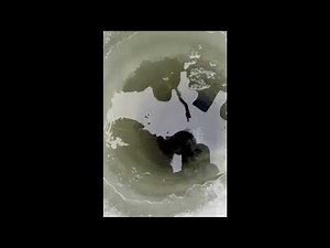 Maine teen catches a 47-inch muskie with help from his grandfather