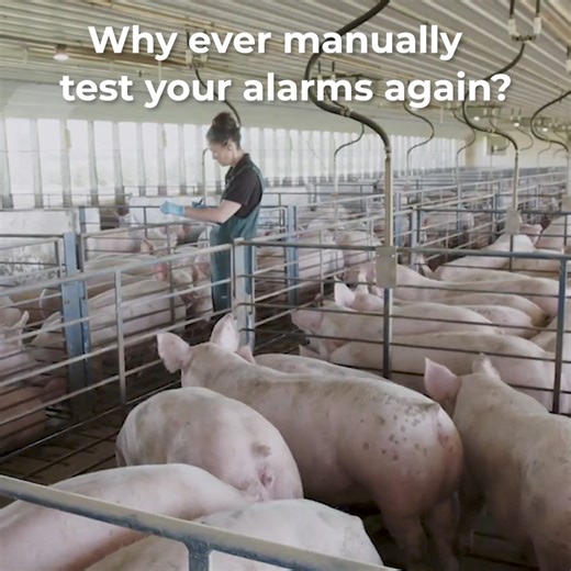 Growers are discovering some surprising truths about their alarm systems - and once you see what they found, you'll understand why so many are making the switch. Discover why: https://barntools.com/5-reasons-switching | BarnTools