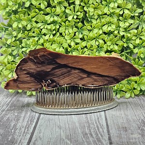 Petrified Wood - Limb Cast - Polished