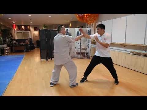 7 Star Praying Mantis Kung Fu Forms Techniques Applications Lan Jie 七星螳螂攔截拳