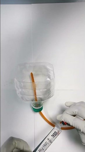 Foley Catheter Insertion 💉 | Step by Step Nursing Skills | Clinical Training #paramedical #reels