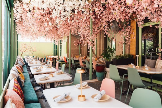 Best Fine Dining in Washington DC: 13 Affordable Michelin-Approved Restaurants