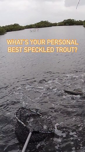 Salt Strong Fishing on Instagram: "What’s your PERSONAL BEST Speckled/Spotted Seatrout? Are you part of the 30” Club or are you still working on it? What’s your go-to lure for catching the big girls? #troutfishing #speckledtrout"