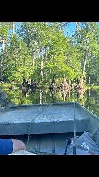 Bream Fishing With Crickets Hutson Lake Pascagoula River Blue Gill South Mississippi