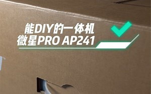 能DIY的一体机微星PRO AP241