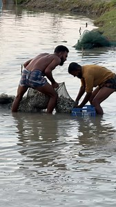 3.1M views · 10K reactions | Incredible Fishing Idea with Ring Net | Fishing & Village Tradition | Facebook